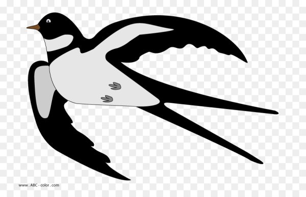 Рисунок ласточки в полете