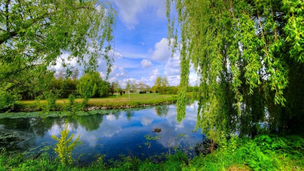 Природа Весна речка