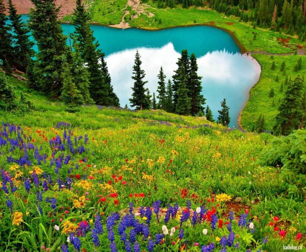 Горы лес озеро река Поляна