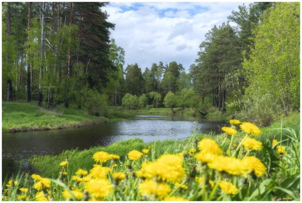 Природа весенней Бугульмы