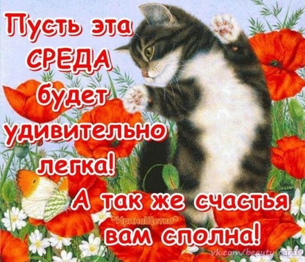 Поздравление со средой