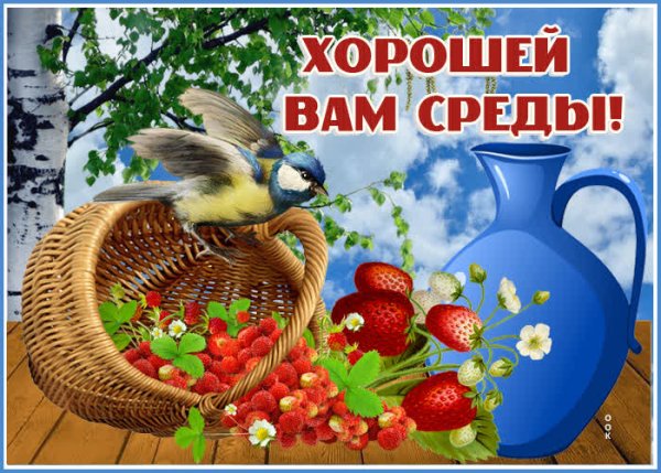 Доброго дня среды