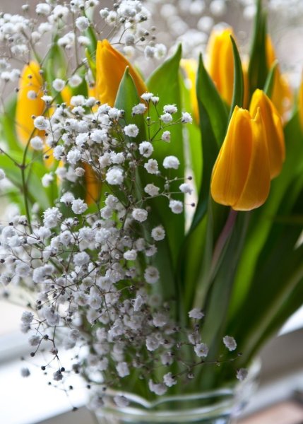 Чудесной весны