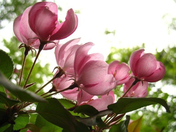 Приятного майского дня