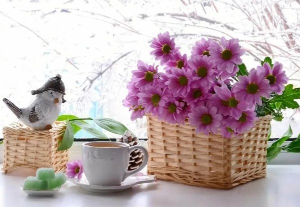 Тёплого утра и хорошего настроения