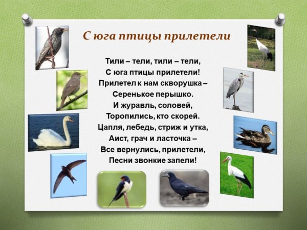 Георгий Скребицкий Лесной голосок