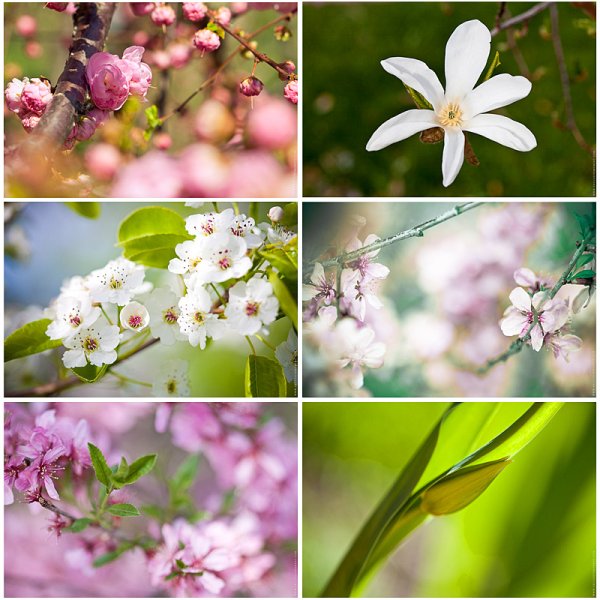 Хорошего весеннего дня