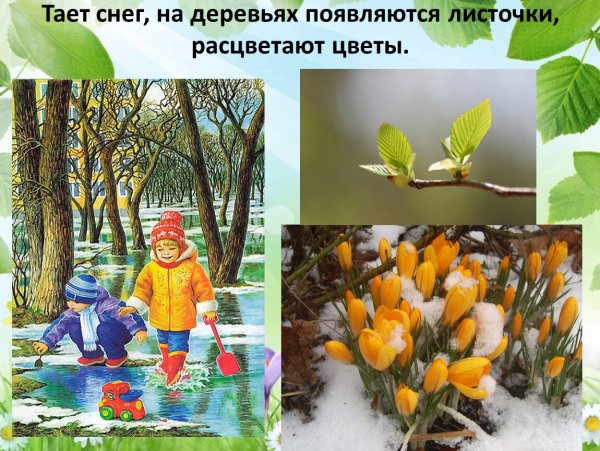 Первоцветы 2 класс