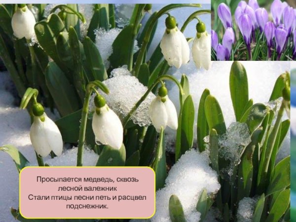 Открытки с добрым утром весенние природа