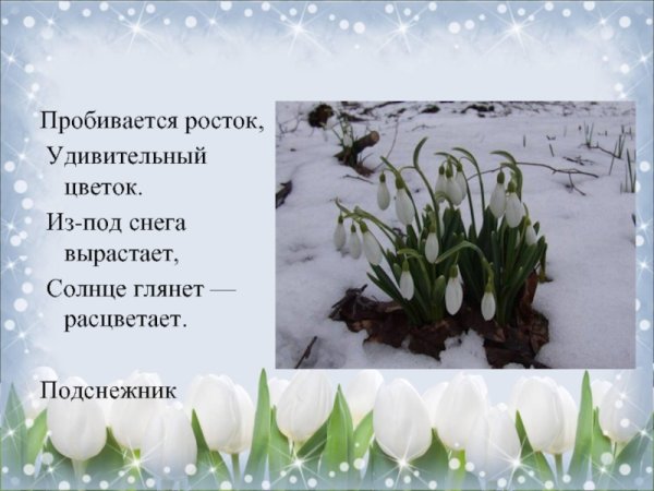 Весенние цветы описание