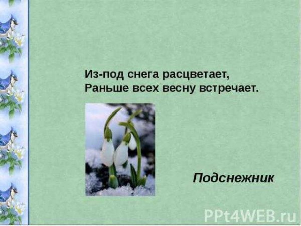 Весеннего настроения прикольные