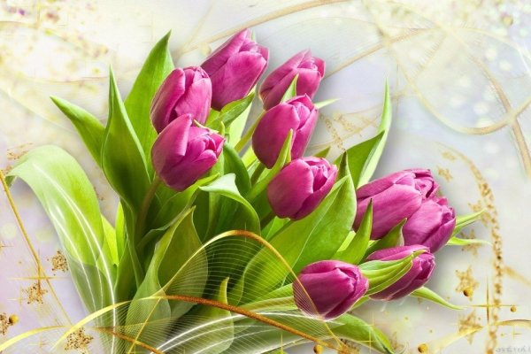 С днём рождения тельпаны