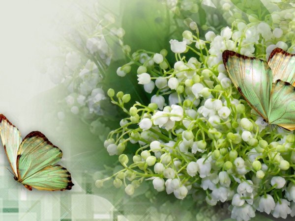 Milato алмазная мозаика