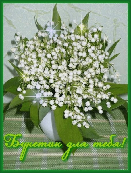 Голубые цветы