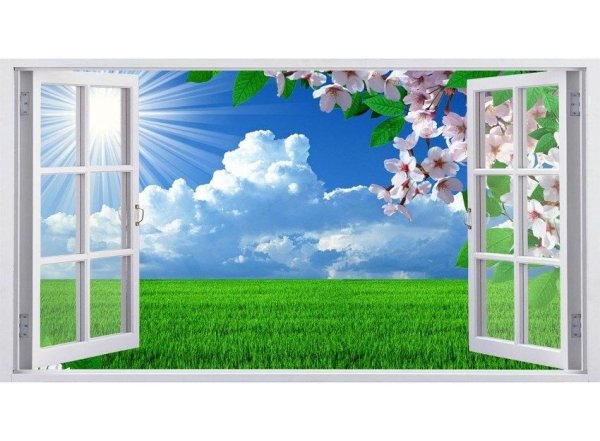 Фотообои открытое окно на природу