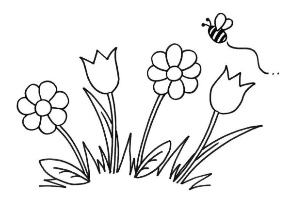 Подснежники раскраска для детей