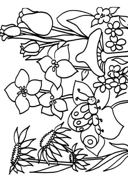 Весенние цветы раскраска
