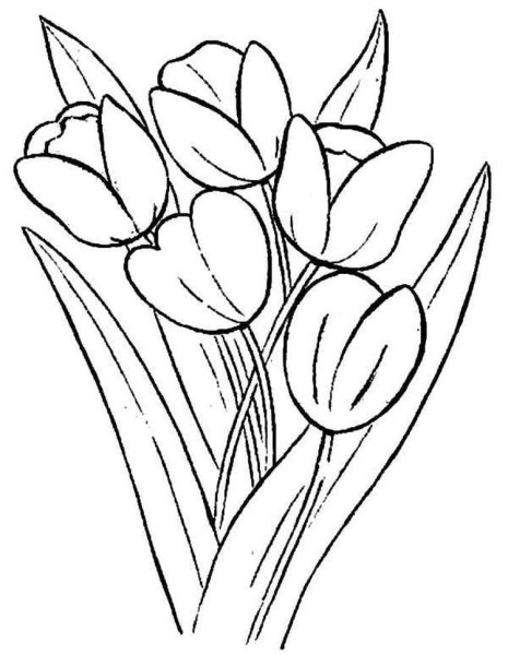 Весенние цветы раскраска для детей