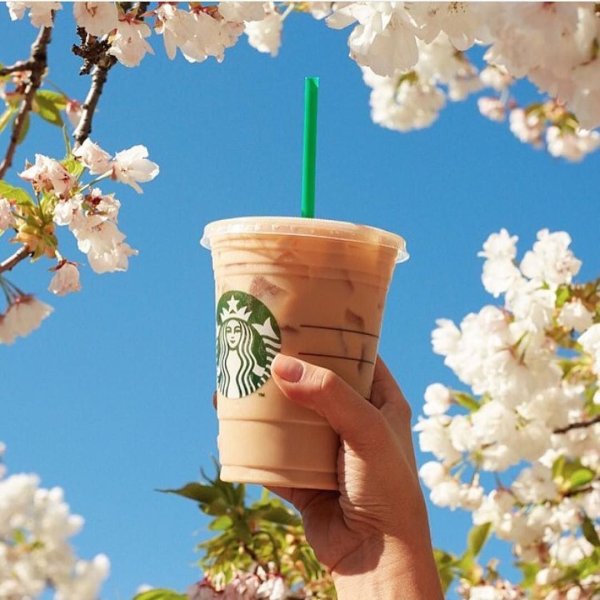 Весенние напитки Starbucks