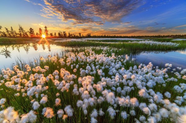 Весенняя природа