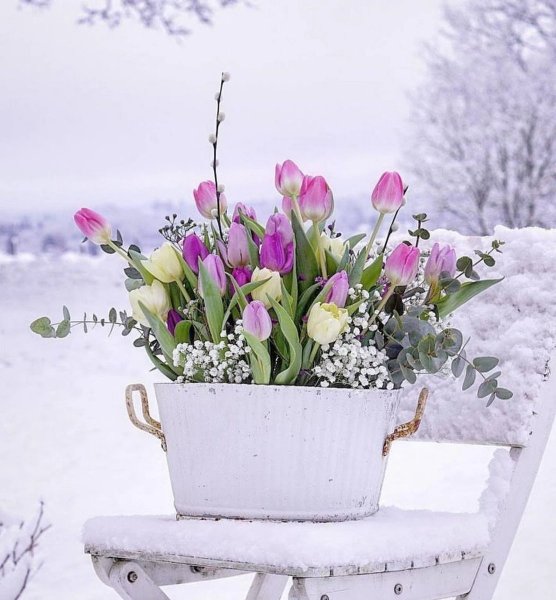 Доброе Снежное утро