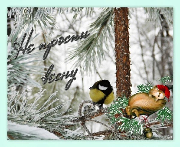 Доброе утро Снежная Весна