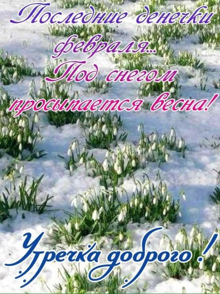 Доброе утро зима Весна