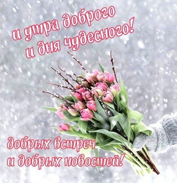 С добрым зимним субботним утром