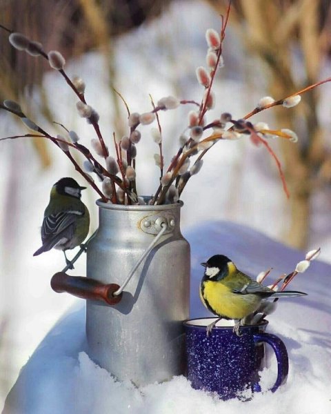 Цветы под снегом