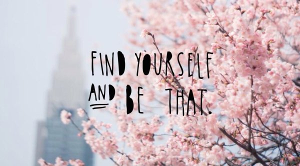 Весенние обои на компьютер Эстетика