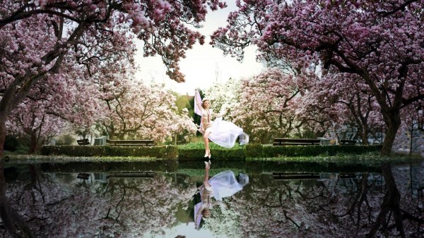 Цветущая Сакура