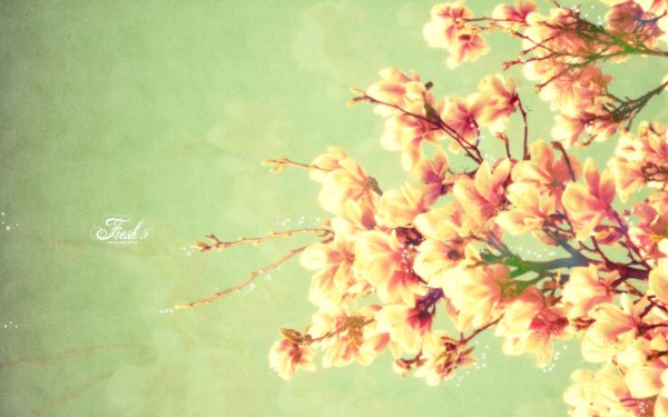 Весенние цветы Винтаж