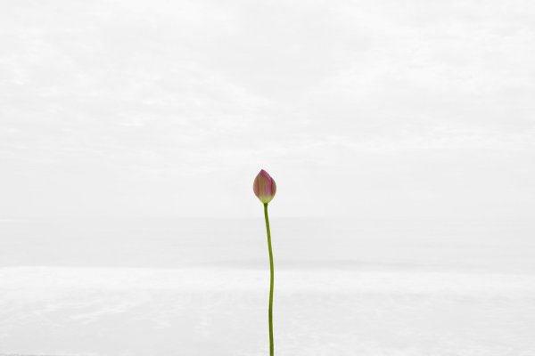 Фон Минимализм