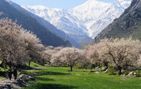 Таджикистан Весна в горах