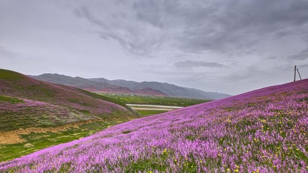 Весна в Таджикистане фото