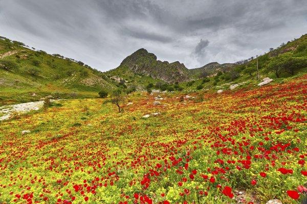 Фахрабад Таджикистан