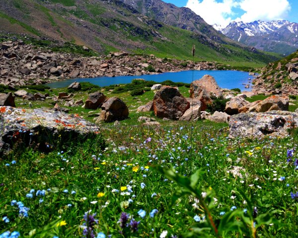 Весна в горах