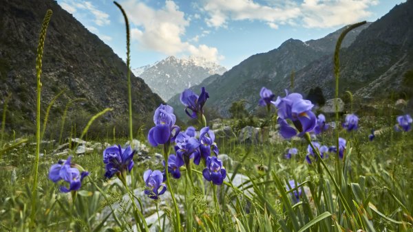 Таджикистан природа Навруз Весна