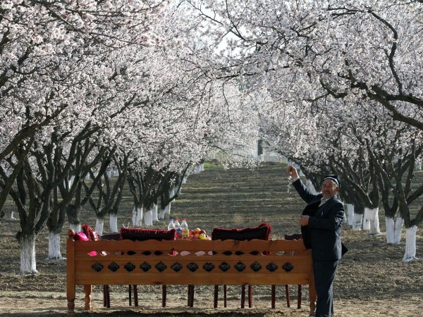 Цветущие сады в горах