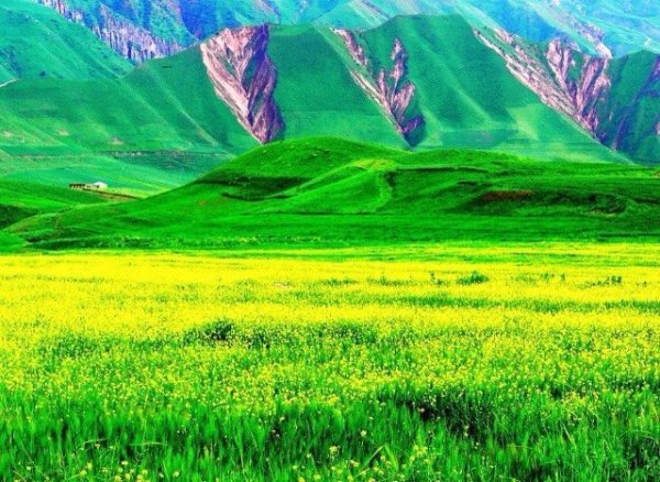 Сарбанд Калининабад