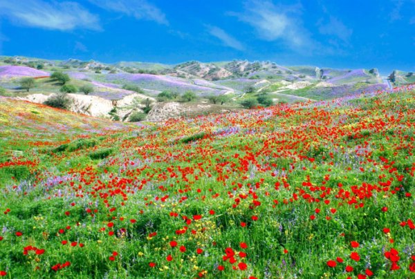 Таджикистан Родина Душанбе