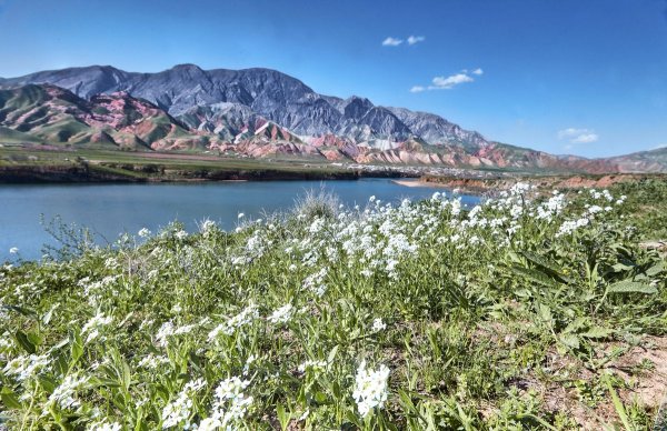 Природа Таджикистана Лола