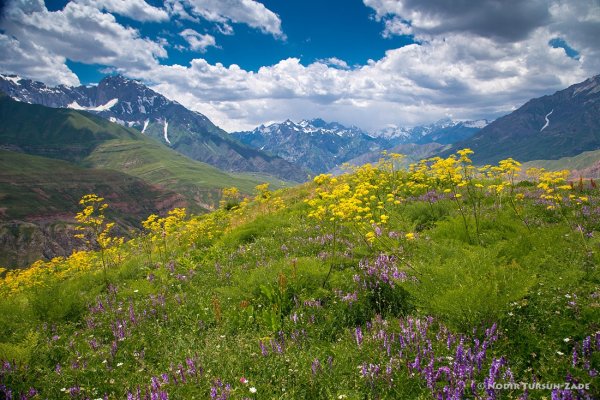 Памир горы Таджикистан Весна