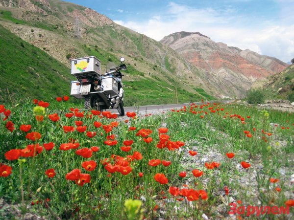 Альпийские Луга Таджикистана