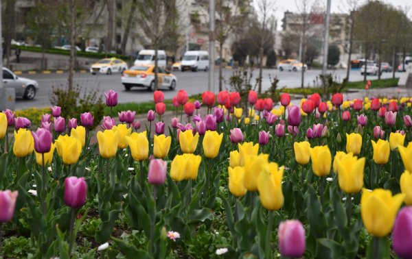 Душанбе весной