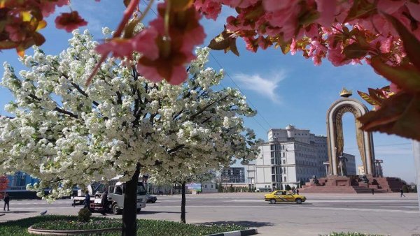 Ботанический сад Памир Хорог