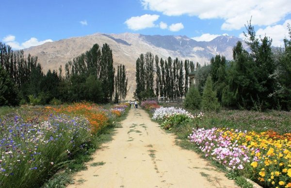 Сайри Гули Лола в Таджикистане