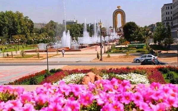 Подснежники Заилийский Алатау