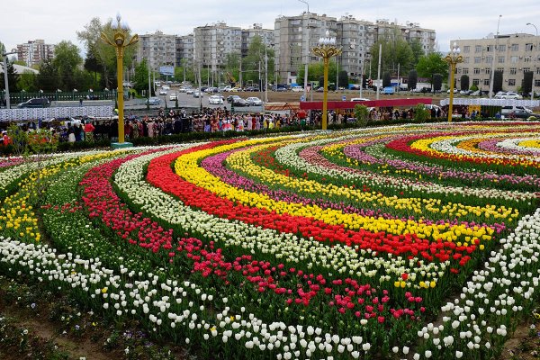 Ферганской Долины сады