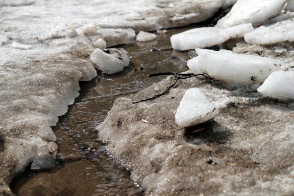 Пускать кораблики в ручейках